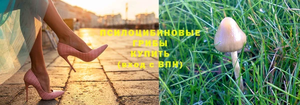 ALPHA PVP Алексин