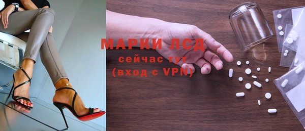 прущий лед Алзамай