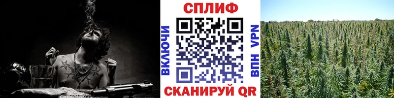 kraken зеркало  Мышкин  Бошки Шишки Bruce Banner  купить наркотики цена 